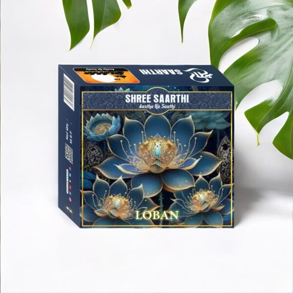 Shree Saarthi Dhoop Cones Premium Loban Cones | 40 gms.